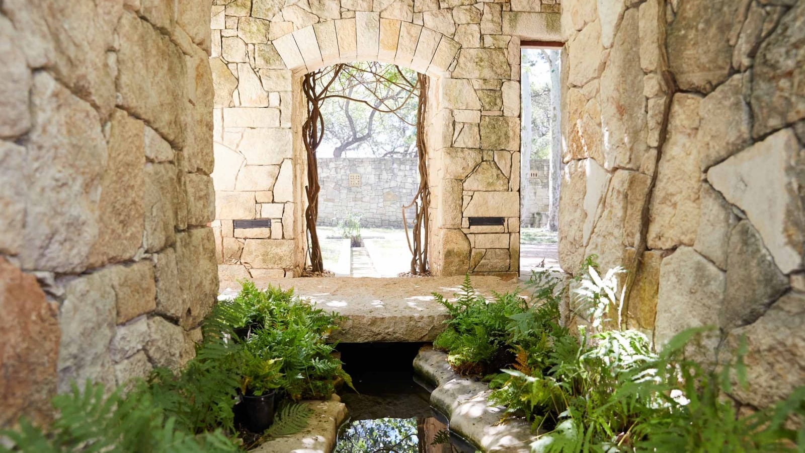 solidago garden with stone walls