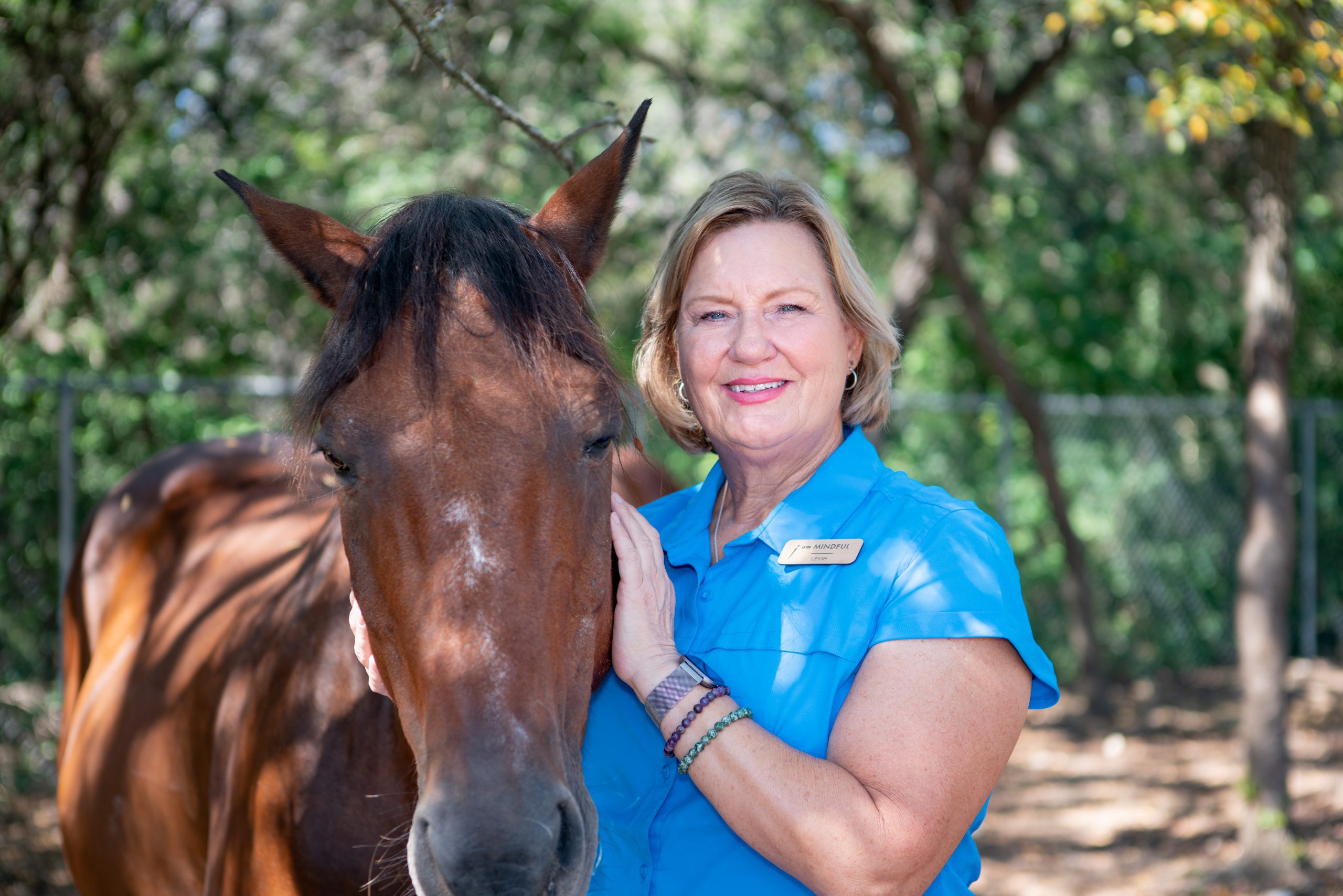 person petting horse