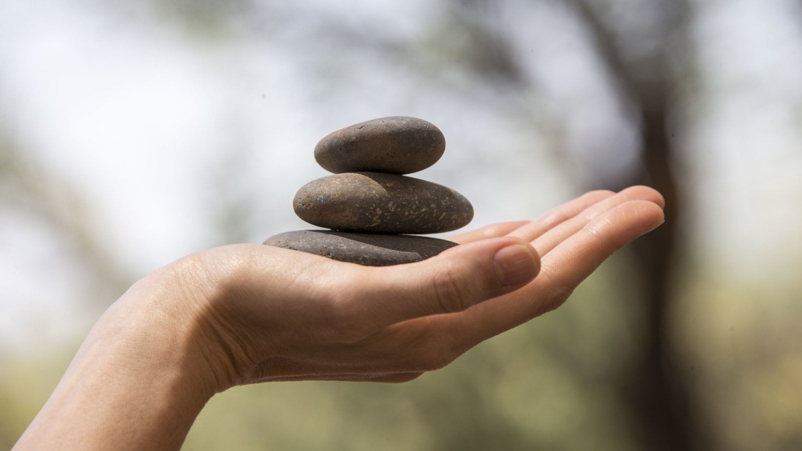 person holding a stack of rocks