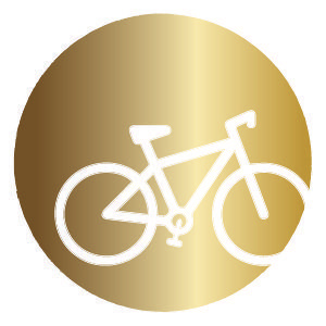 golden graphic of bike