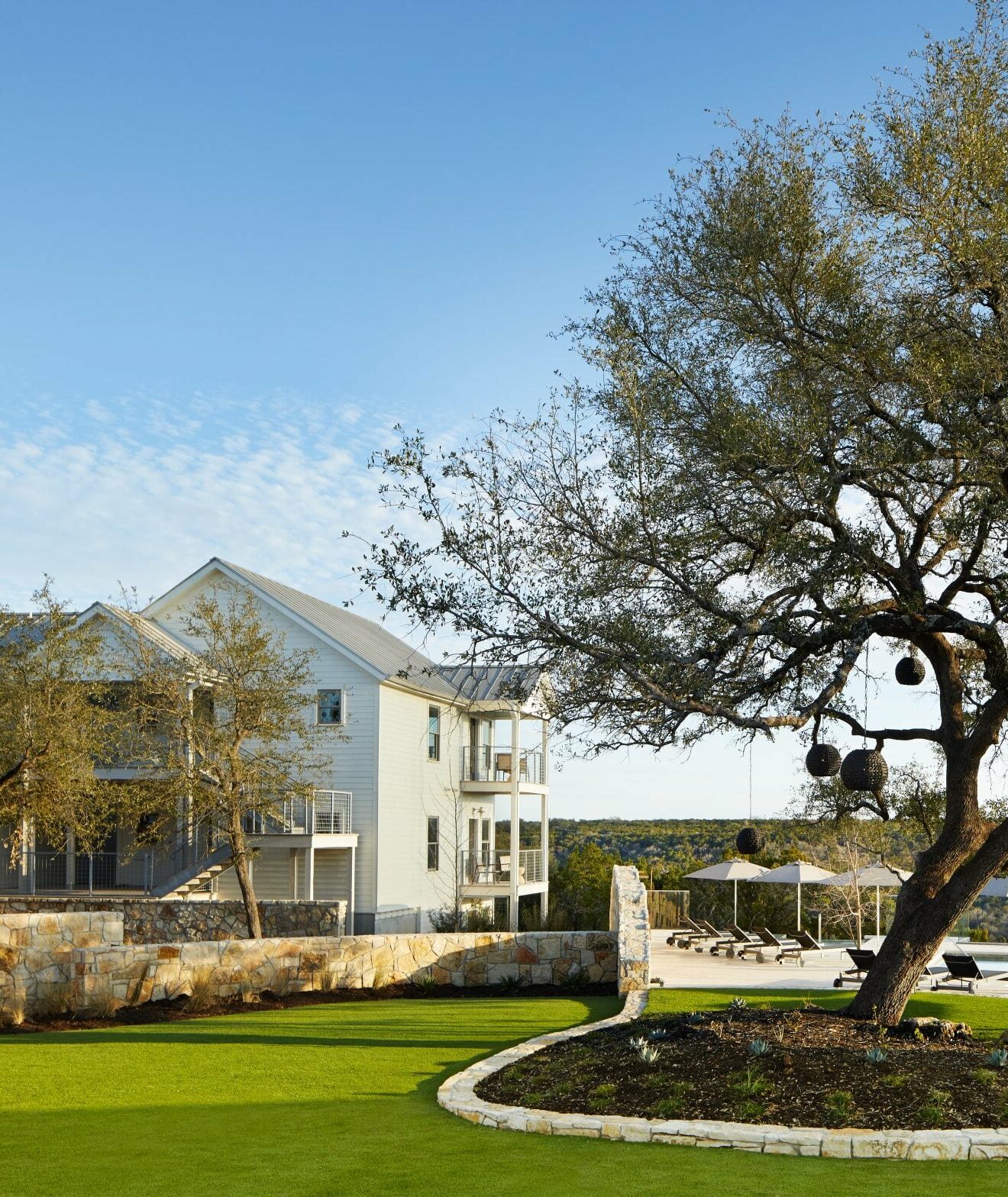 tree beside white building and pool