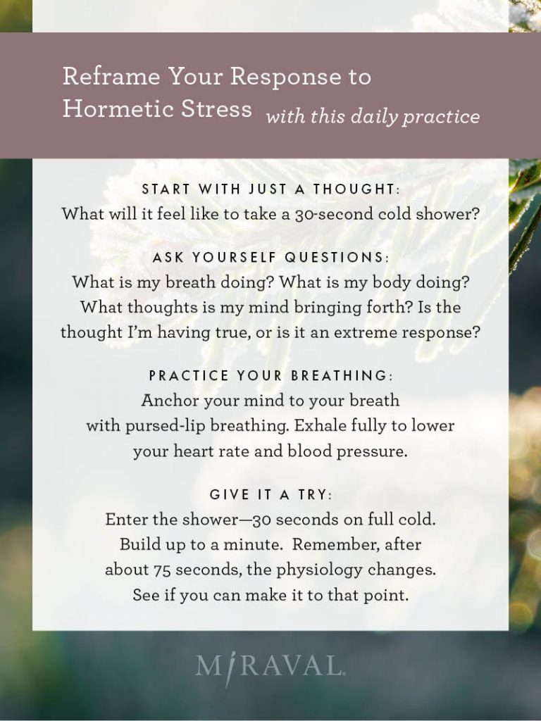 Reframe your response to Hormetic Stress practice