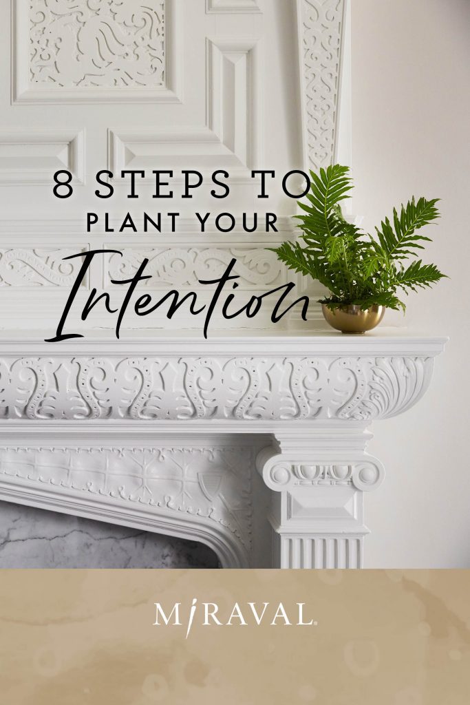 Green plant on white mantel of fireplace