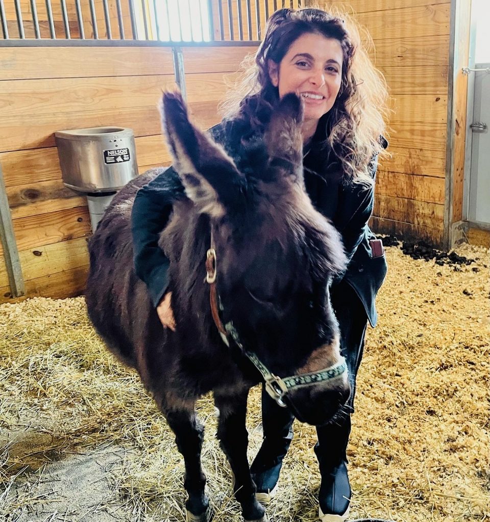 person giving a donkey a hug