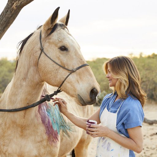 person painting on a horse