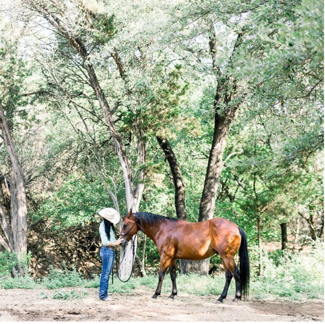 person standing outside petting a horse