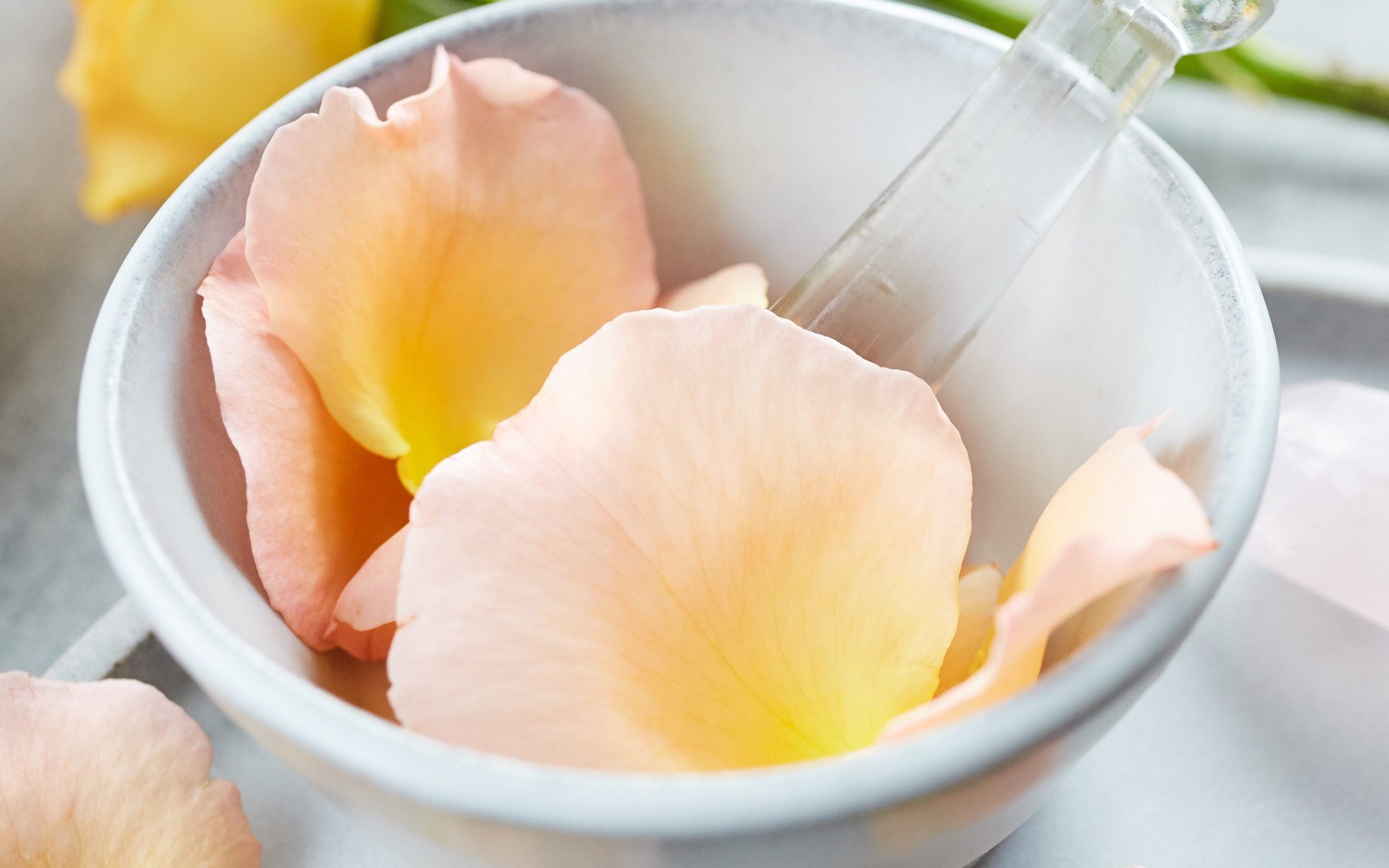 Pink Primrose petals in bowl