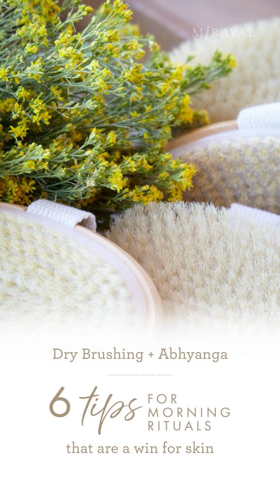 Dry brushes and yellow flowers