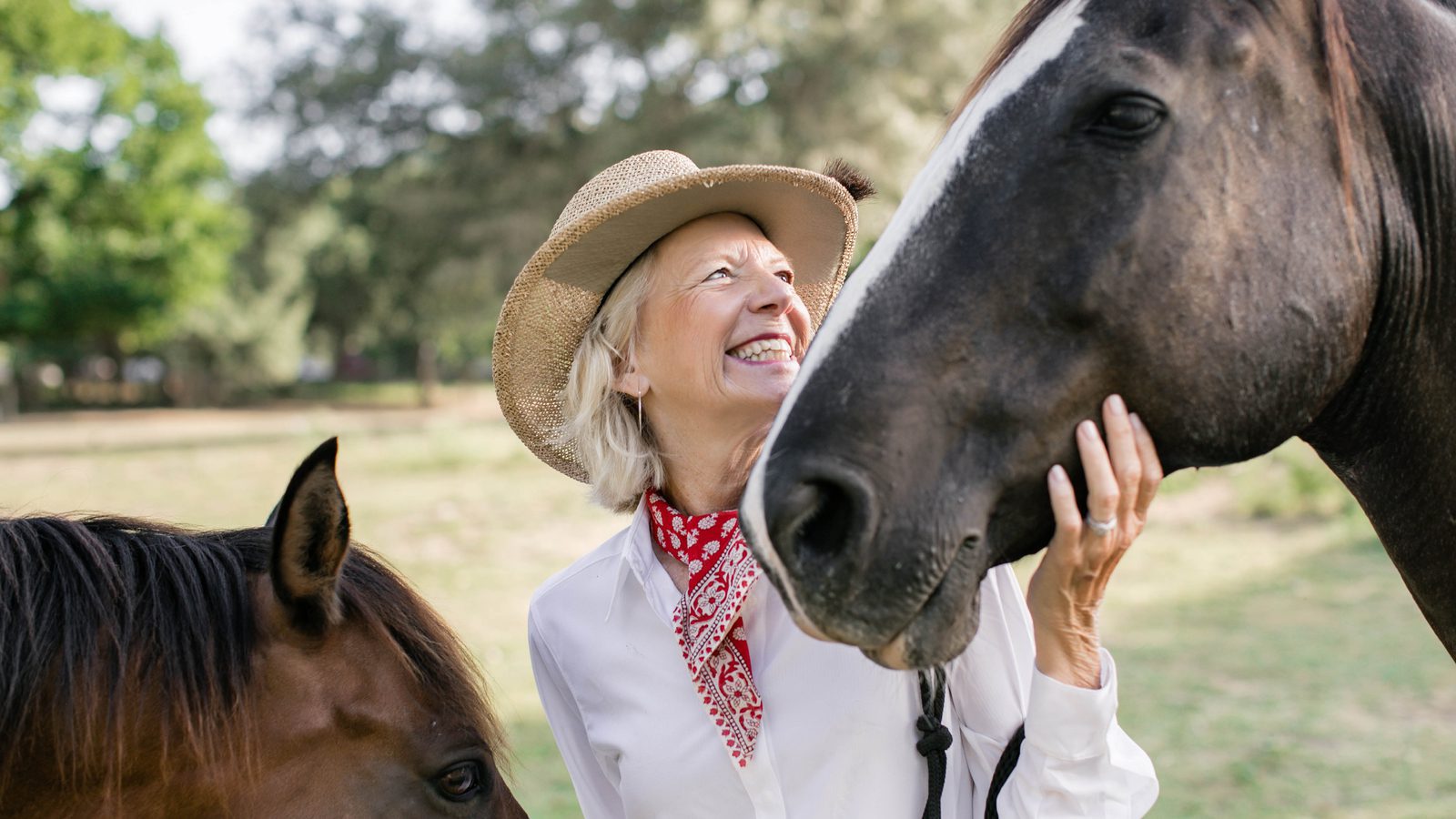 person petting horses